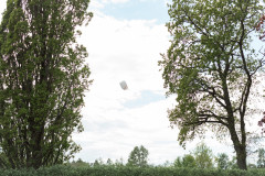 WeddingsEdits322